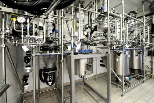 WhatsApp Image 2026-02-13 at 2.44.37 PM